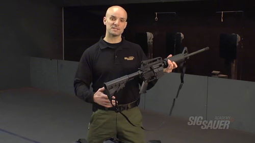 sig ar,Understanding SIG AR: A Comprehensive Guide