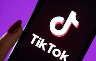 Tiktok ar book answers quizlet,TikTok AR Book Answers Quizlet: A Comprehensive Guide