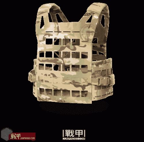 ar veritas lite plate carrier,Ar Veritas Lite Plate Carrier: A Comprehensive Overview