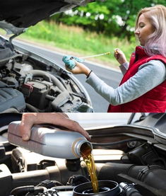 express oil change & tire engineers sherwood ar,Services Offered