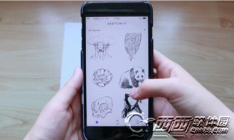 ar drawing trace to sketch pro apk,Discover the Magic of AR Drawing with Trace to Sketch Pro APK