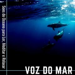 qual a ordem para ler o povo do ar,Understanding the Phrase “Qual a Ordem para Ler o Povo do Ar?”